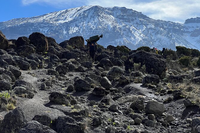 8 Days Kilimanjaro Climbing Lemosho Route - Day 2: Forest Camp to Shira 1 Camp