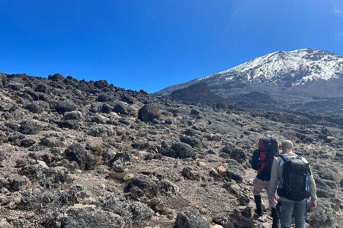 8 Days Kilimanjaro Climbing Lemosho Route - Day 3: Crossing the Shira Plateau to Moir Camp