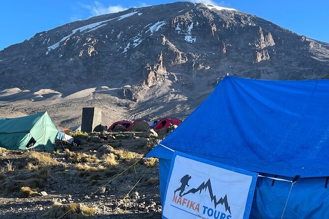 8 Days Kilimanjaro Hike via Lemosho Route - Day 5: Barranco Wall and Karanga Valley
