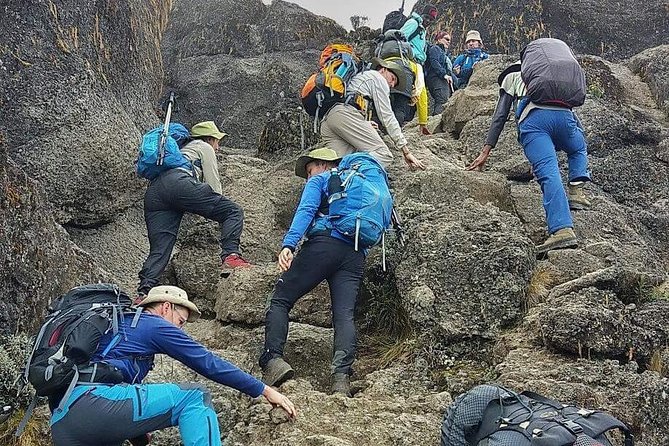 8 Days Lemosho Route Climbing - What the route’s remote start adds