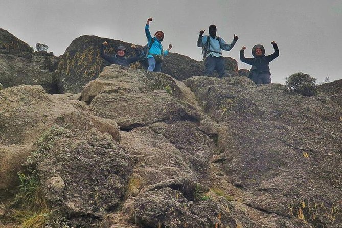 8 Days Lemosho Route Climbing - The guide team and the feel of a private climb