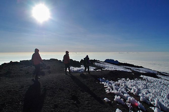 8 Days Lemosho Route Climbing - Summit expectations and the real physical challenge