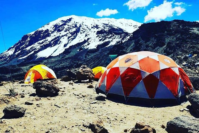 8 days Lemosho route Climbing Mt. Kilimanjaro - Day 1: Moshi to Lemosho Gate and the rainforest
