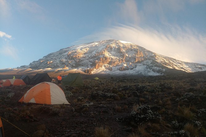 8 days Lemosho route Climbing Mt. Kilimanjaro - Day 5: The Barranco Wall and Karanga Valley