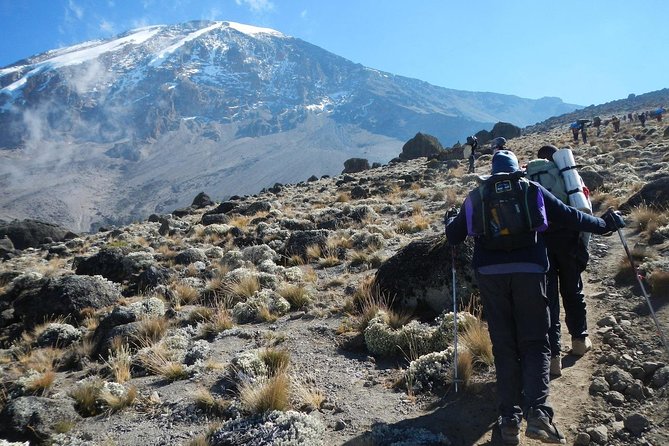 8 Days Lemosho Route Kilimanjaro Trekking - Key things to know before choosing Lemosho