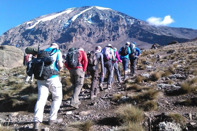 8 Days Lemosho Route Kilimanjaro Trekking - Day 1: Arusha to the Lemosho rainforest
