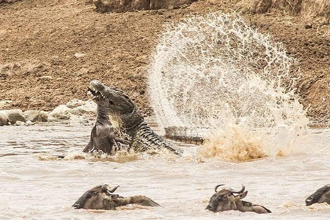 8 Days, Migrations Safari-River crossing -(July to October) - Day 1: Tarangire’s elephants and baobabs