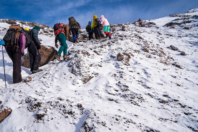 8 Days Mountain Kilimanjaro Lemosho Route - Day 5: Climbing the Barranco Wall to Karanga