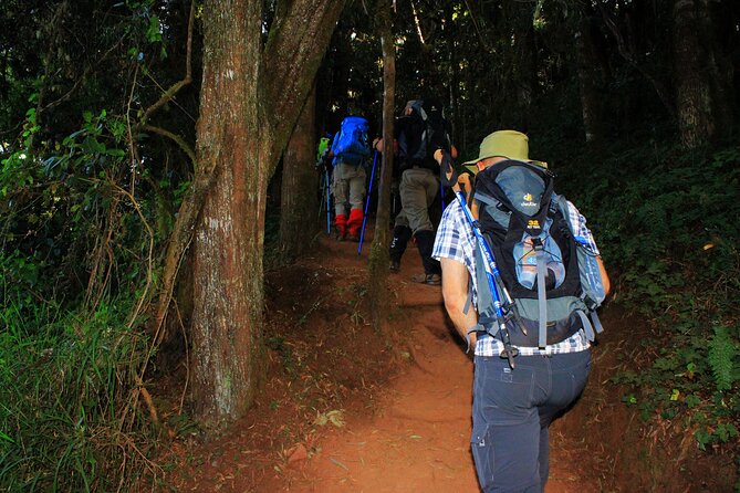 8 Days Mountain Kilimanjaro Lemosho Route - Day 2: Mti Mkubwa to Shira 1 Camp