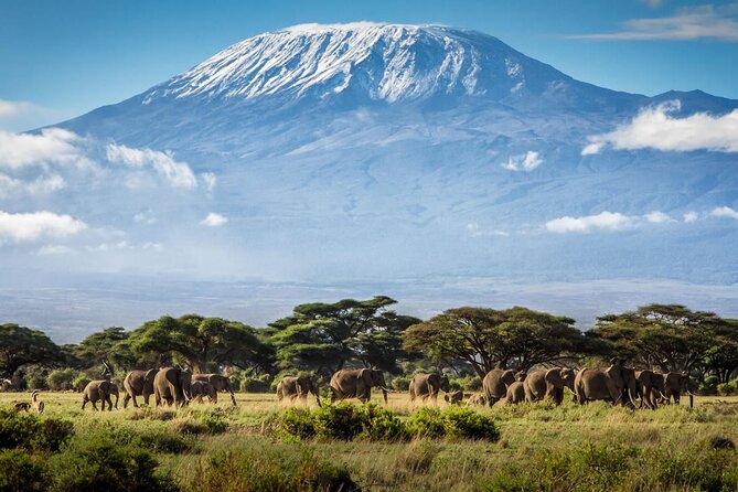 8 Days Mt Kilimanjaro Climb - Lemosho Route - Why the Lemosho Route is a good choice