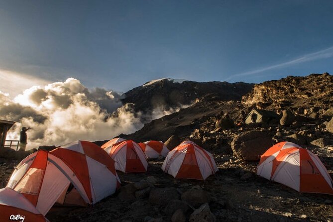 8 Days Mt Kilimanjaro Climb - Lemosho Route - Days 4 and 5: Longer walking days in the middle of the climb