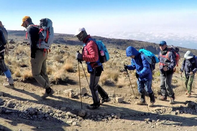 8 Days Mt Kilimanjaro Climb - Lemosho Route - Days 6 and 7: Shorter distances before the summit