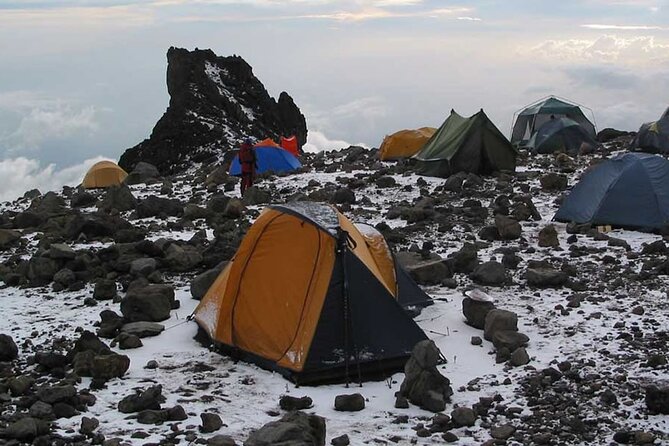 8 Days Mt Kilimanjaro Climb - Lemosho Route - Day 8: The 16.4-kilometer push to Uhuru Peak