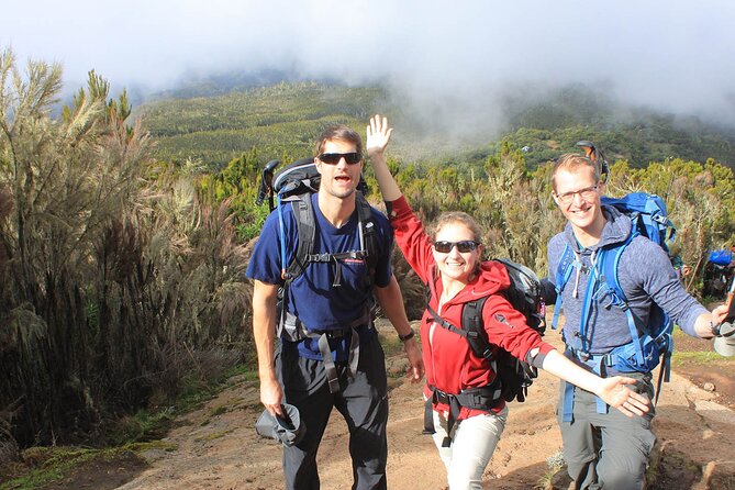 8 Days Mt Kilimanjaro Climb - Lemosho Route - Day 10: Airport transfer and departure