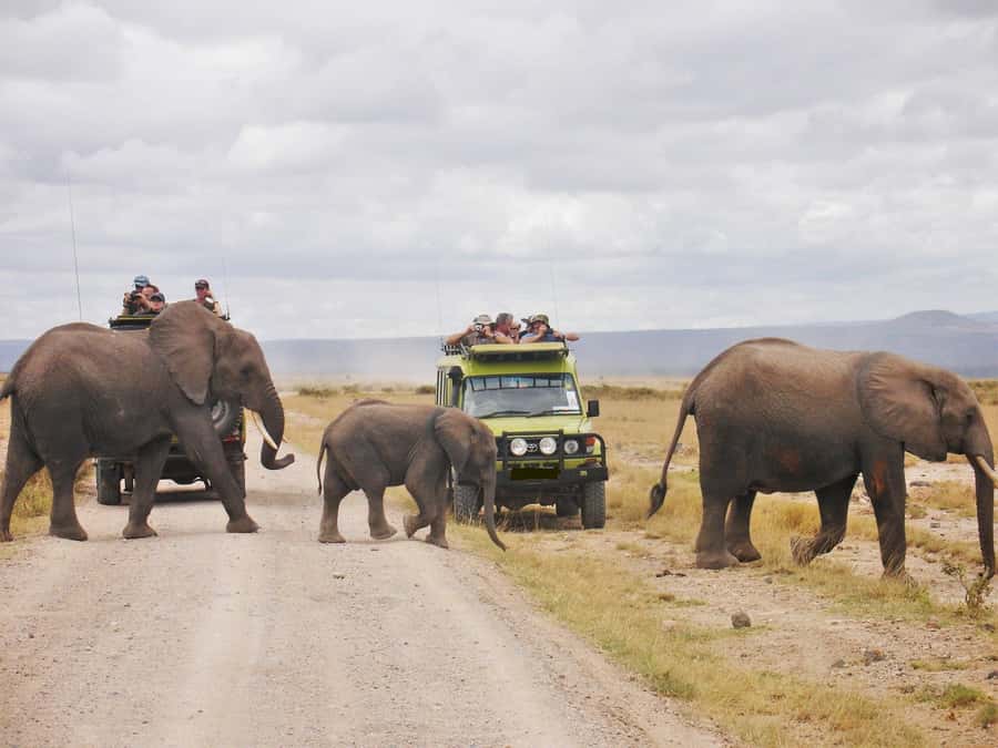 8 Days Nakuru, Masai Mara, Serengeti, Ngorongoro & L Manyara - Day two: Nakuru to Maasai Mara