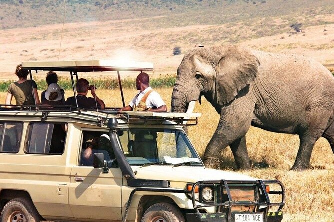 8-Days Private Luxury Safari: Serengeti, Ngorongoro & Materuni - Day 3: The road to the Serengeti