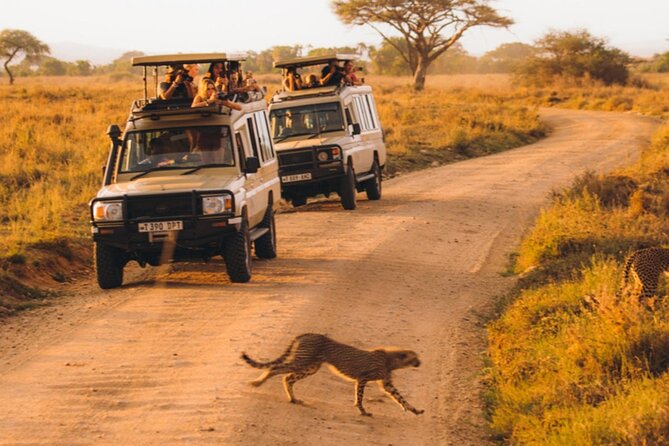8-Days Private Luxury Safari: Serengeti, Ngorongoro & Materuni - Days 4 and 5: Two full days in Serengeti