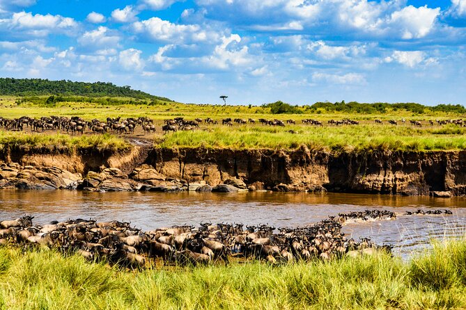 8 Days Private Safari in Serengeti Tour - Day 1: Kilimanjaro Airport to Arusha