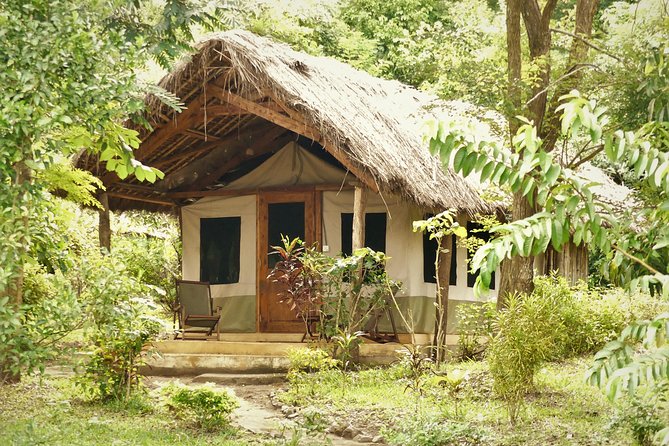 8 Days Safari to Mikumi, Ruaha & Udzungwa Mountains - Why this route feels different from a northern safari