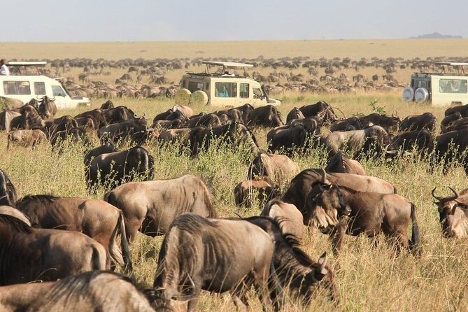 8 Days Tanzania Lodge Safari | Semi Luxury . - Day 3: Lake Manyara beneath the Rift Valley escarpment