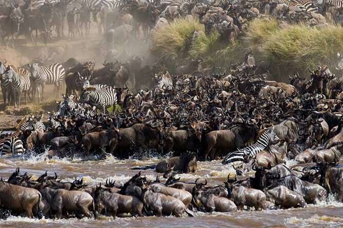 8 Days Tanzania Lodge Safari | Semi Luxury . - Day 9: Returning through the Tanzanian countryside