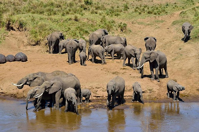 8 Days Tanzania Simba Luxury Safari - The Serengeti gets two nights