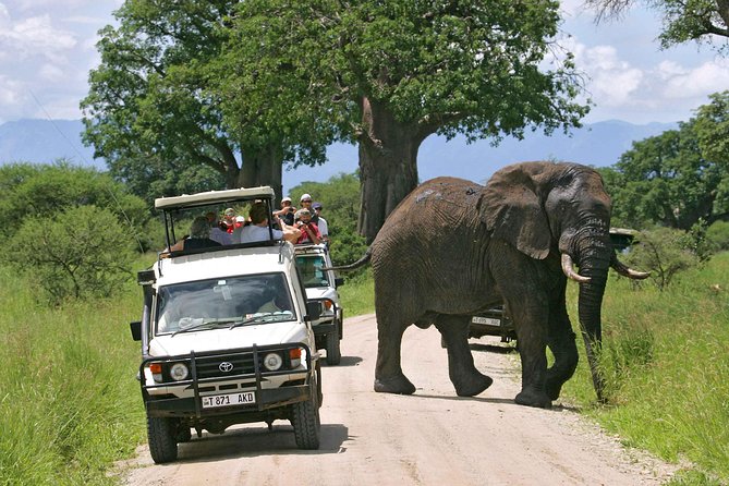 8 Days Tanzania Simba Luxury Safari - What $5,359 includes