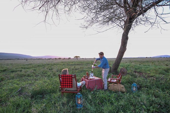 8 Days Tanzania Wildlife Safari Experience - Day 1: Arriving in Arusha after Kilimanjaro Airport