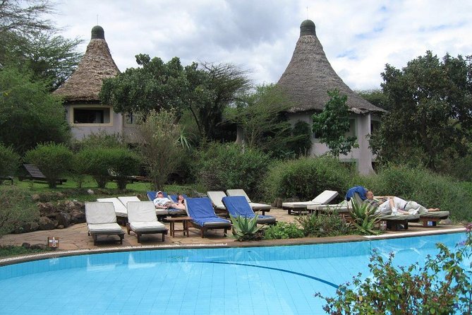 8 Days Tanzania Wildlife Safari Experience - Day 5: A full day inside Ngorongoro Crater
