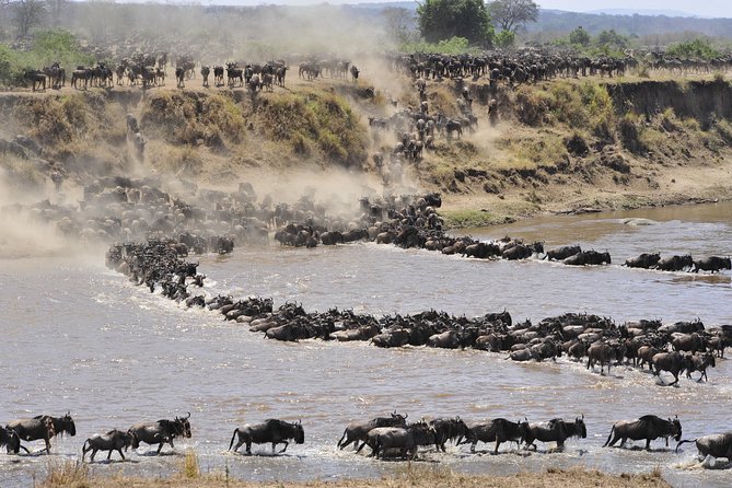 8 Days Tanzania Wildlife Safari Experience - Day 6: Entering the Serengeti through the highlands