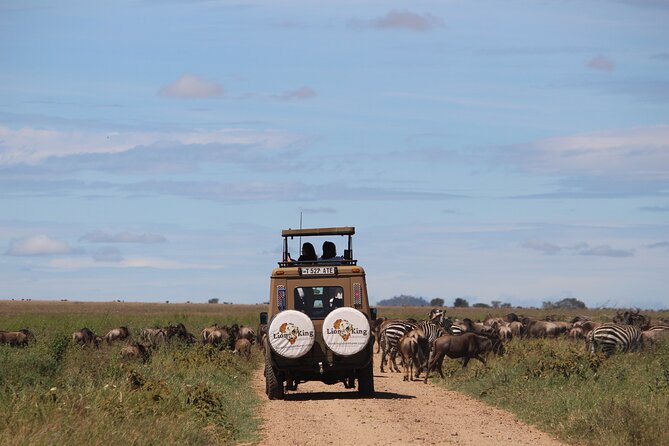 9-Day Serengeti Migration Footsteps Tanzania Safari - Day 7: From Serengeti plains to the crater rim