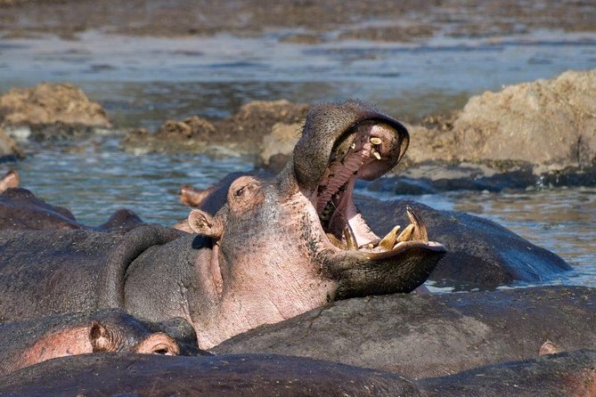 9 Days / 8 Nights Join group Safari - Day 7: A Different Kind of Morning at Lake Eyasi