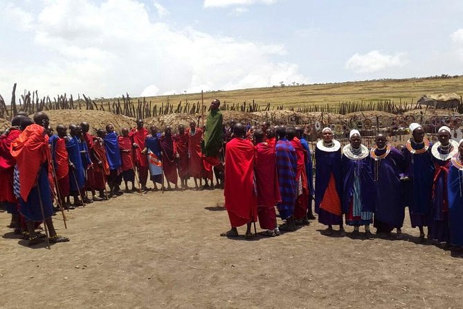 9 Days / 8 Nights Join group Safari - Day 9: A Short Final Safari Near Arusha