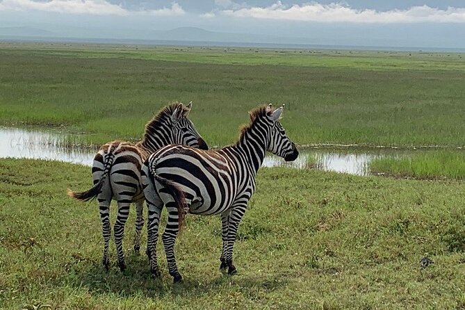 9-Days High End Road and Air Kenya Safari - Lake Naivasha for a slower freshwater stop