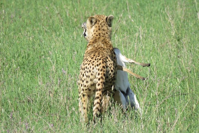 9 Days Safari To See Great Migration Crossing - Day 4: The road to Serengeti passes through Ngorongoro