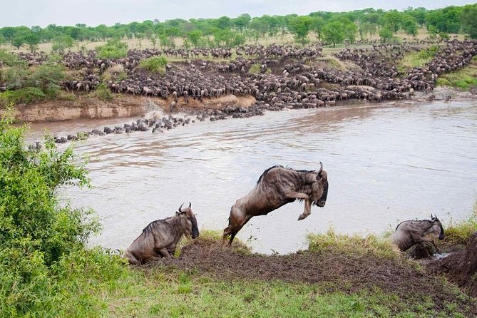 9 Days Tarangire, Serengeti, Ngorongoro Crater & Manyara Camping Safari Tour - Why nine days works well in northern Tanzania
