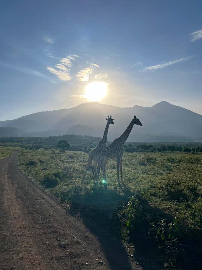 A Day in Arusha National Park - Single-Day Trip - Why Arusha National Park makes sense for one day