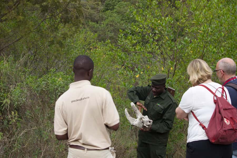 A Day in Arusha National Park - Single-Day Trip - A one-hour picnic with room to breathe