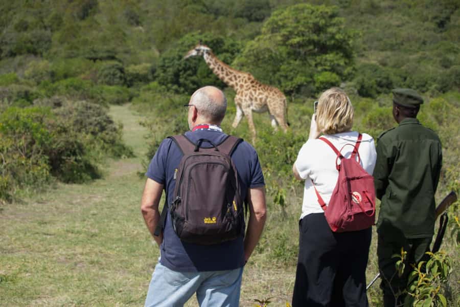 A Day in Arusha National Park - Single-Day Trip - The 80-minute ride from Arusha