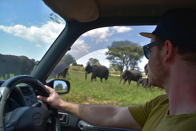 A Visit to The Giants in Tarangire NP. - Entering Tarangire, where baobabs set the scene
