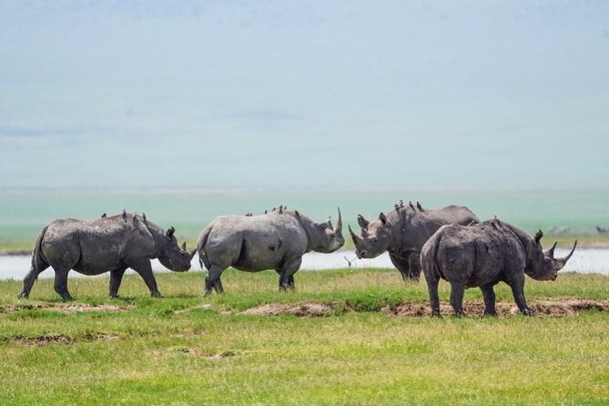 Affordable 1 Day Tanzania Budget Group Join Safari to Tarangire - Why Tarangire works well for a one-day safari