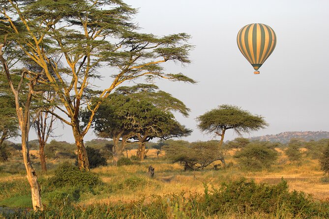 Affordable 3-Day Safari to Serengeti & Ngorongoro Crater - Key points to know before booking