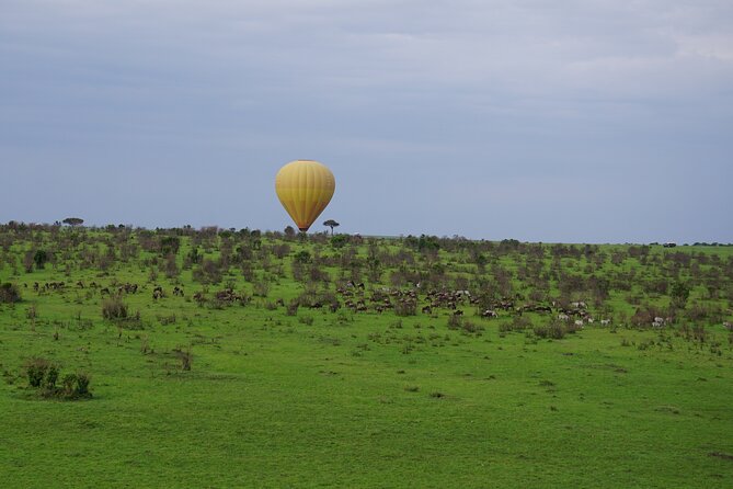 Affordable 3-Day Safari to Serengeti & Ngorongoro Crater - How the camping affects the experience