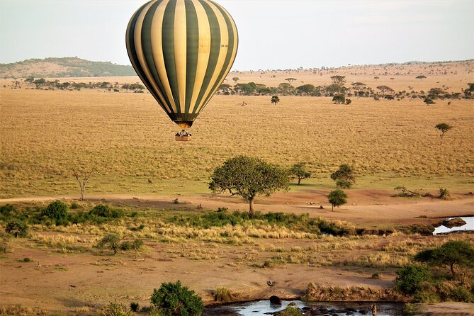 Affordable 3-Day Safari to Serengeti & Ngorongoro Crater - Guides, planning, and service