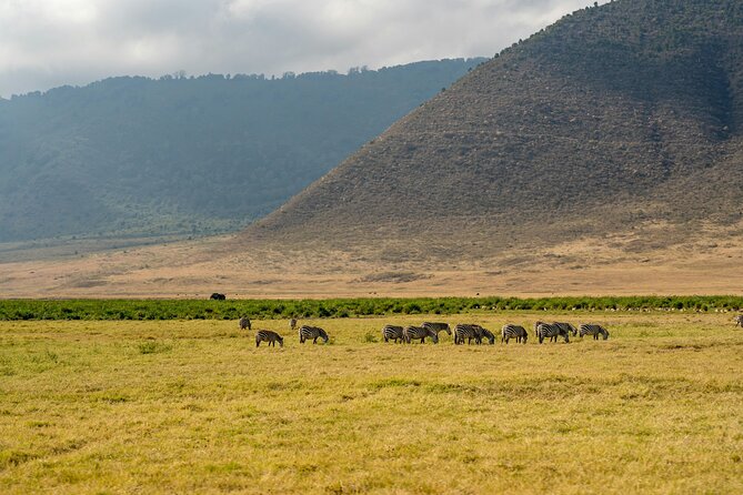 Affordable 4 Days Tanzania Private Mid-range Lodge Safari Tour - Why This Route Works in Only Four Days
