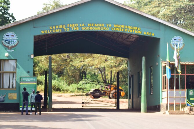 Affordable 5 days Tanzania budget camping safari (group joining) - Day 4: Inside the Ngorongoro Crater