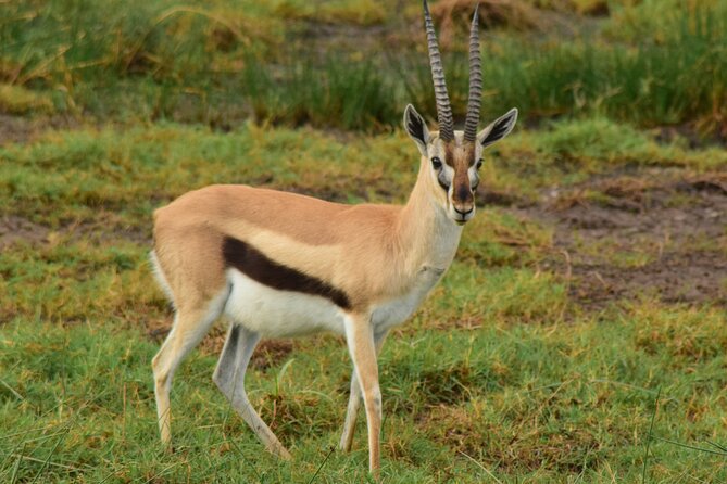 Amazing 4 Days Tanzania Budget Camping Group Joining Safari - Day 4: Ngorongoro Crater and Lake Magadi