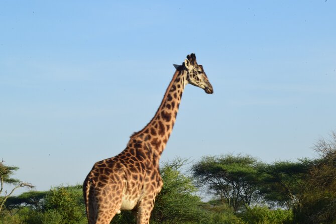 Amazing 4 Days Tanzania Budget Camping Group Joining Safari - What the $1,283 price really covers