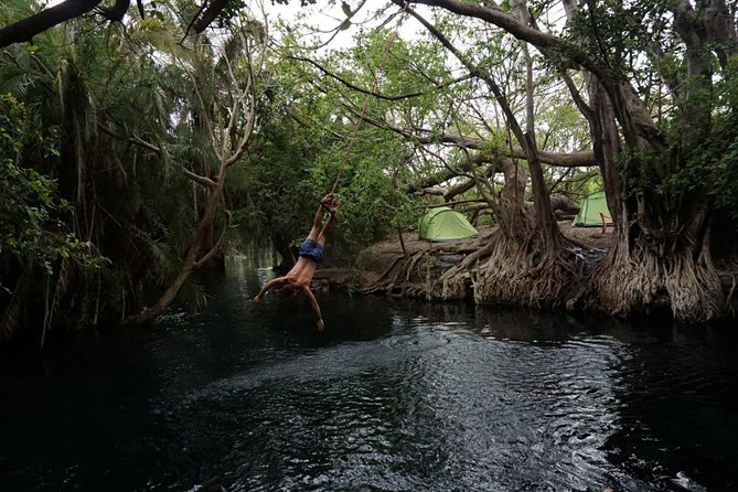 Amazing Chemka (Kikuletwa) Hot Spring Day Trip | BURIGI CHATO SAFARIS CO LTD - Key things to know before you book
