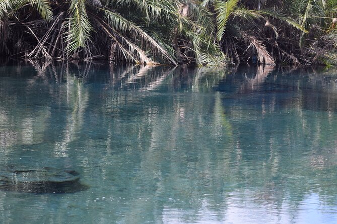 Amazing Chemka (Kikuletwa) Hot Spring Day Trip | BURIGI CHATO SAFARIS CO LTD - Lunch beneath the trees